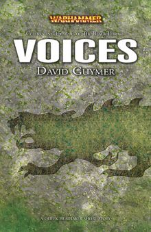 Voices cover.jpg