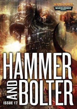 Hammer and bolter 17 cover.jpg