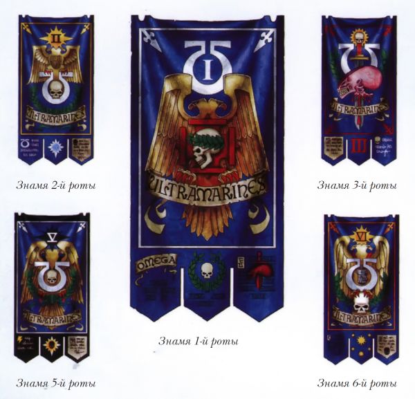 2026-02-13 010315.jpg